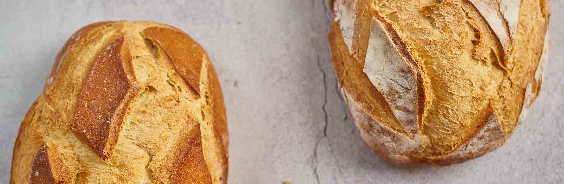 La gallofa panaderias especializadas, panaderías y pastelerías en Santander